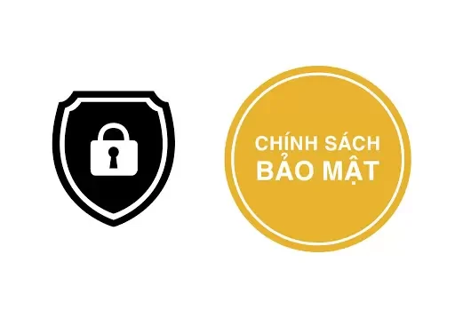 Tìm Hiểu Và Đánh Giá Chính Sách Bảo Mật Tại vanhoc.org - An Toàn Thông Tin Người Dùng